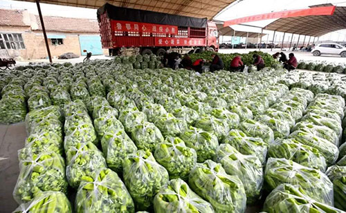 我是湖南长沙蔬菜批发市场，买多少钱的农药残留检测仪合适？