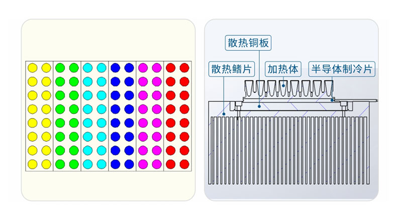 pcr荧光检测仪